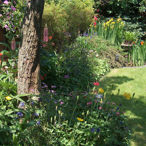 Walshe Associates - architecture and conservation