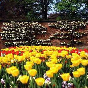 Walshe Associates - architecture and conservation