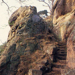 Walshe Associates - architecture and conservation