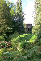 Lama Tree Gardens, Dorset