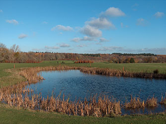 The Victorian walled garden, Rushmore Estate, Wiltshire