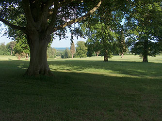 The Victorian walled garden, Rushmore Estate, Wiltshire