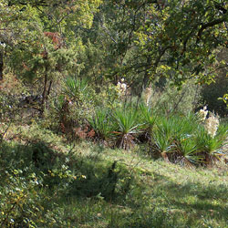 Lafon de Pepicou, Monpazier, Dordogne